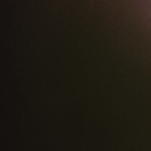 Meet your Posher, Maximo flores